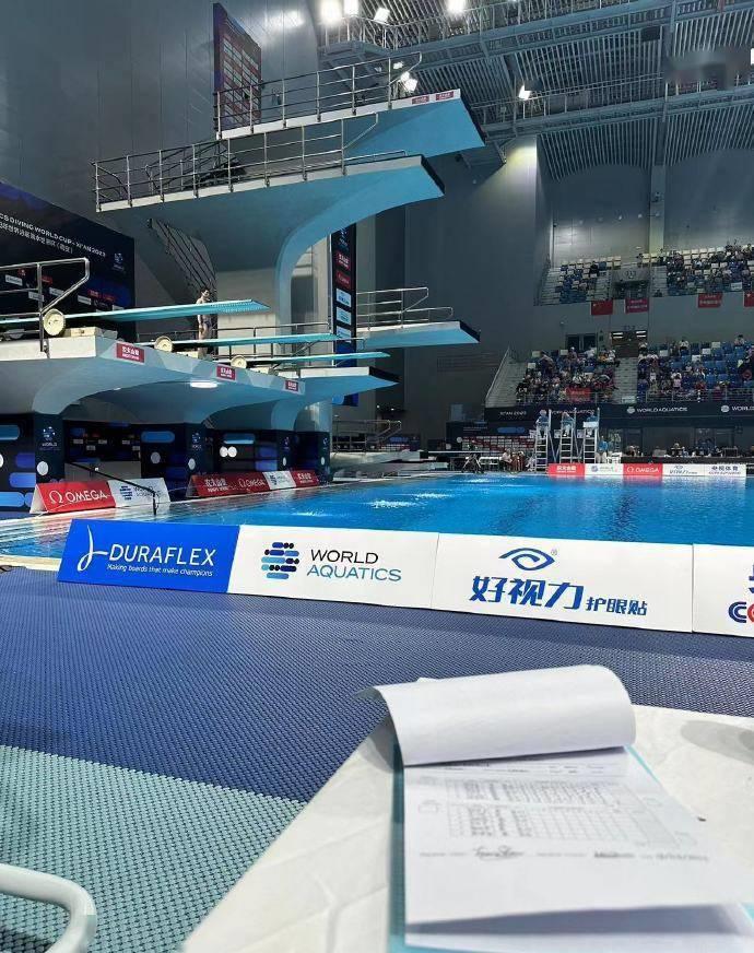 郭晶晶晒国外游玩照,郭晶晶跳水水花大