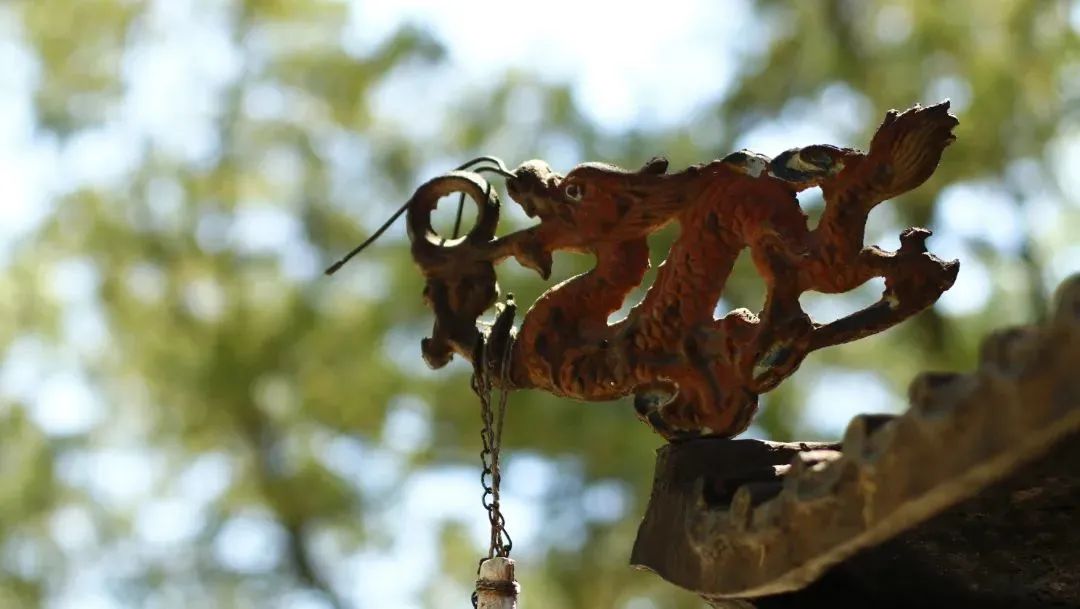 石景山首钢园骑行,春天石景山赏花