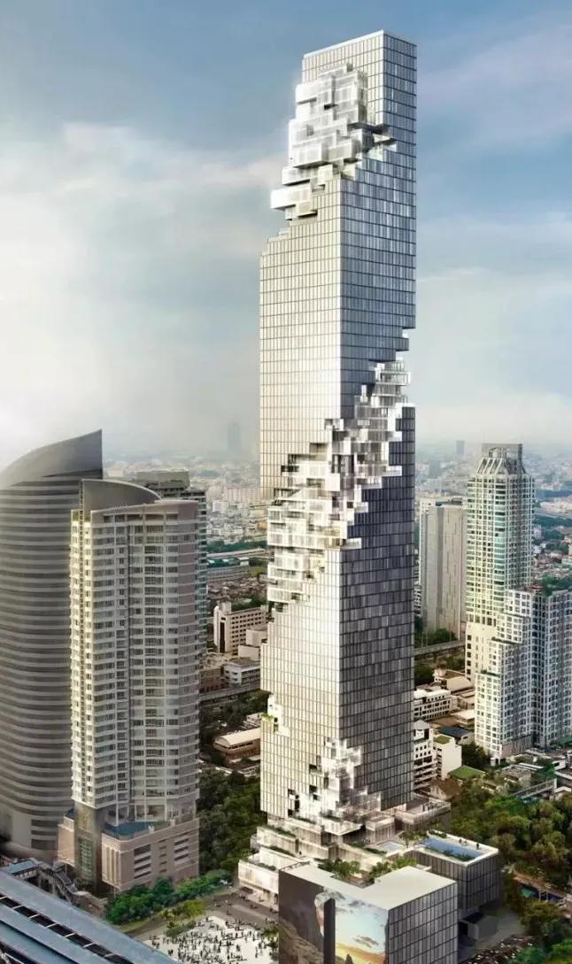 左右先生,左右先生的视频