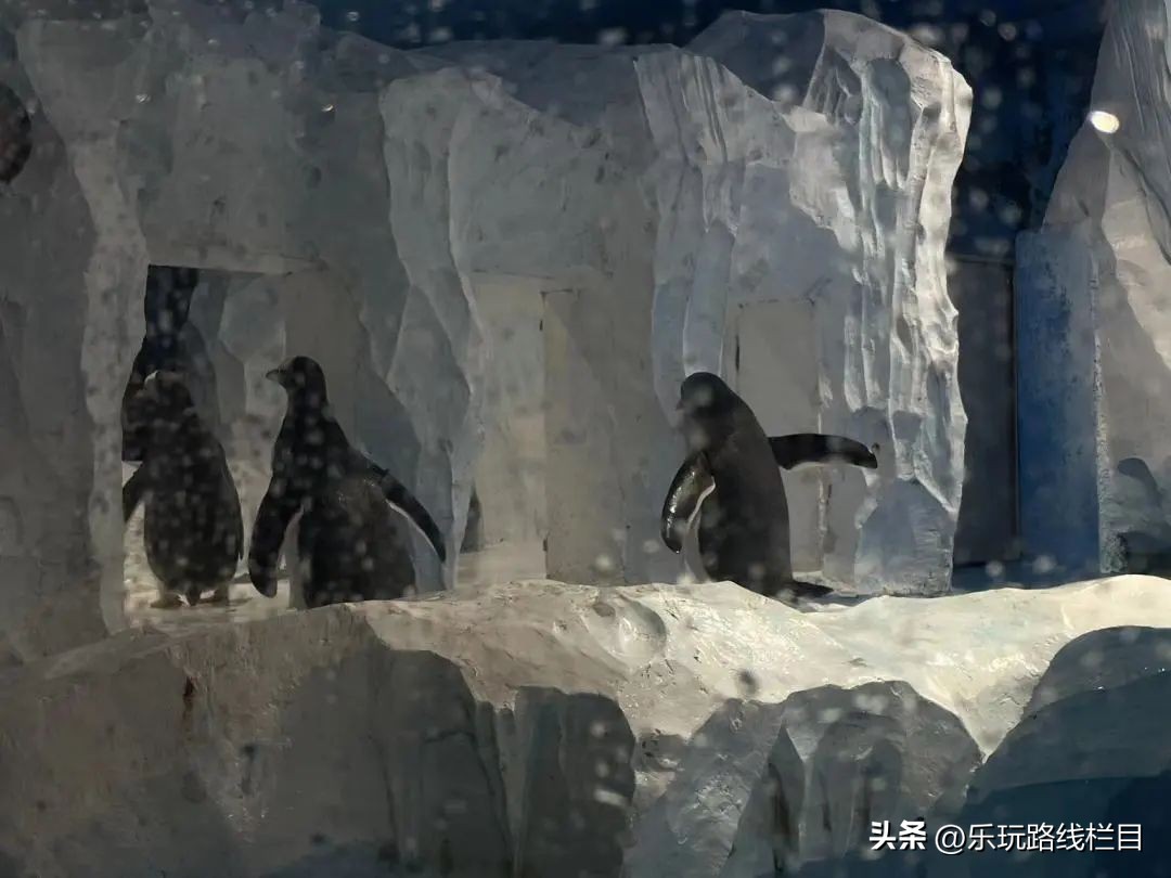 假面潮玩,假面潮玩节