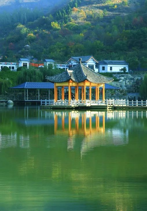 济南近郊旅游专线,济南开通的几条旅游线公交不错