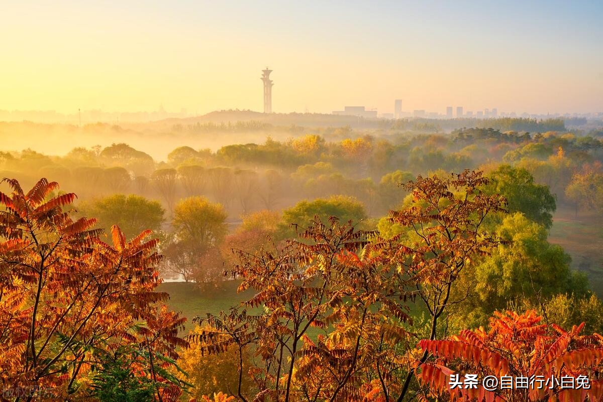 北京奥林匹克公园游览攻略图片,北京奥林匹克公园游玩攻略2023