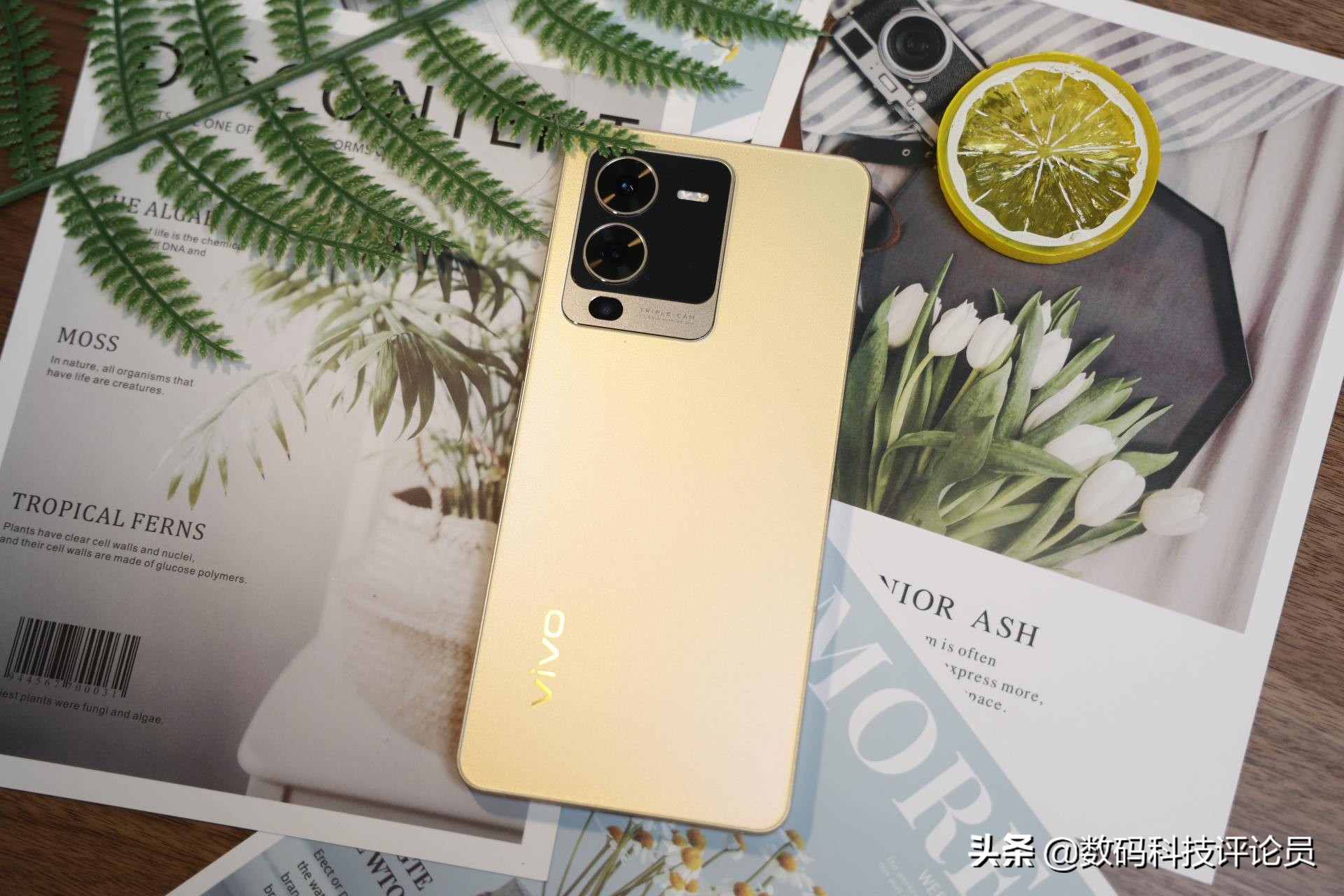 vivos15是用的骁龙870巅峰版吗,vivos15骁龙870巅峰版与普通版