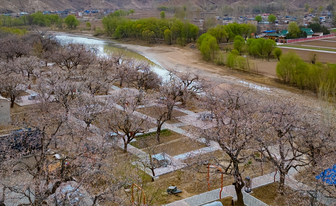 去临夏玩的攻略,临夏旅游线路推荐