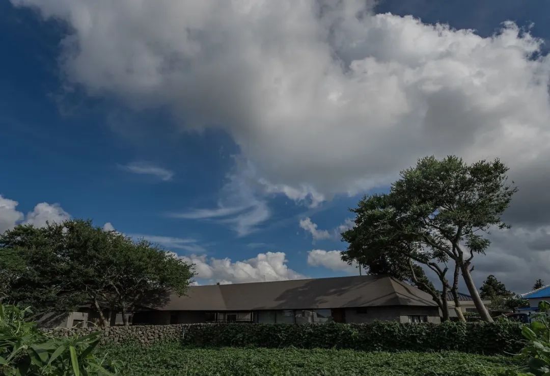 缙云归园居民宿客栈,古朴民宿设计