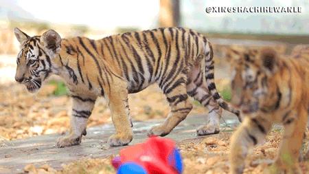 星沙周末户外一日游攻略,星沙周末适合出去玩的地方