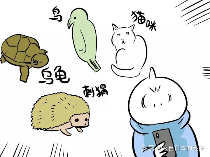 外国人会接受淘宝吗,外国人最喜欢淘宝什么