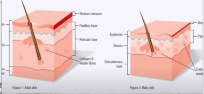 真正安全好用的宝宝面霜推荐,宝宝面霜怎么选宝妈私藏干货