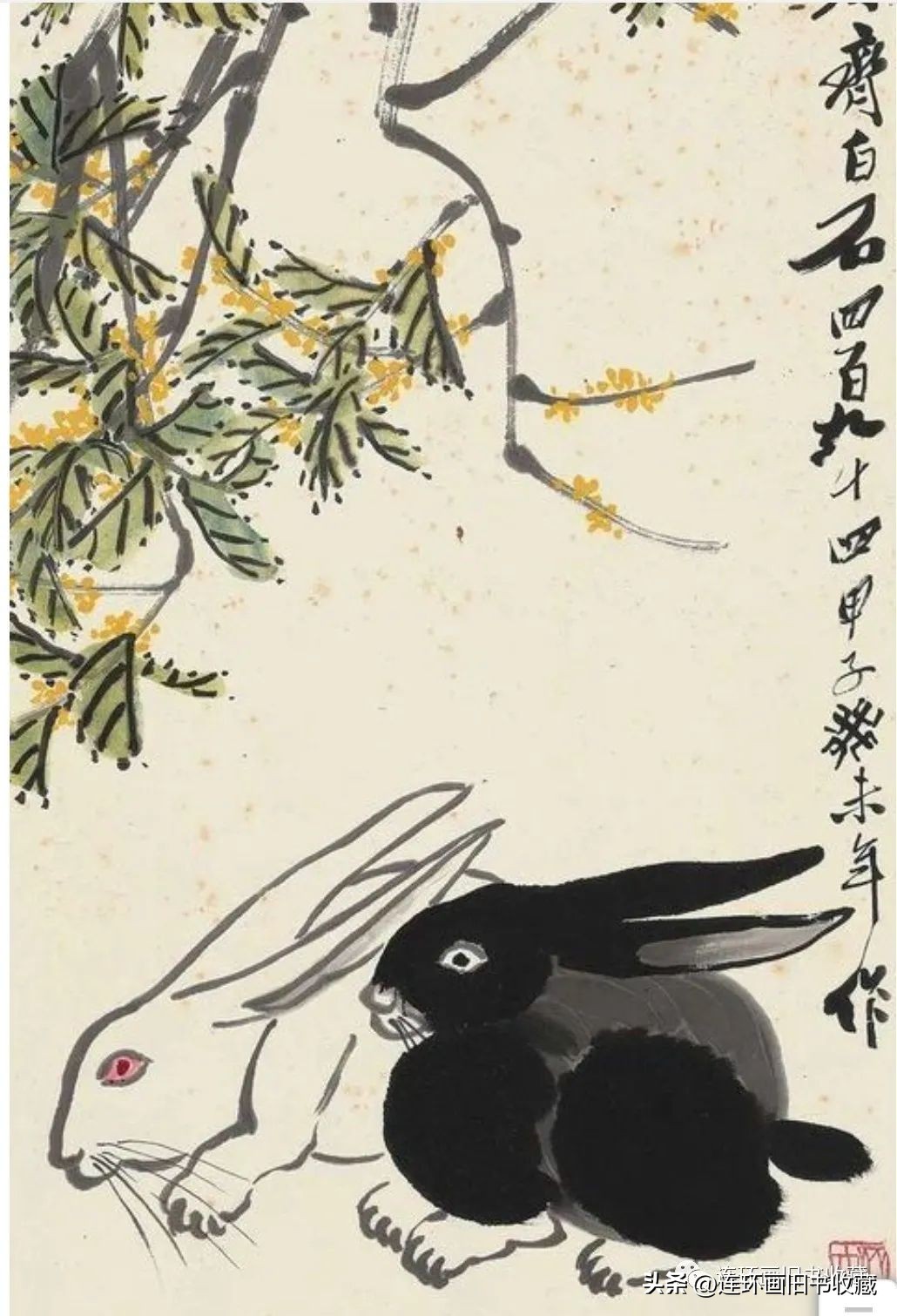 白兔和黑兔四格连环画,关于兔年的多格连环画