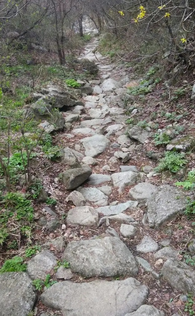 古禹州杨寨街土地爷贪吃故事:脚不沾地回家