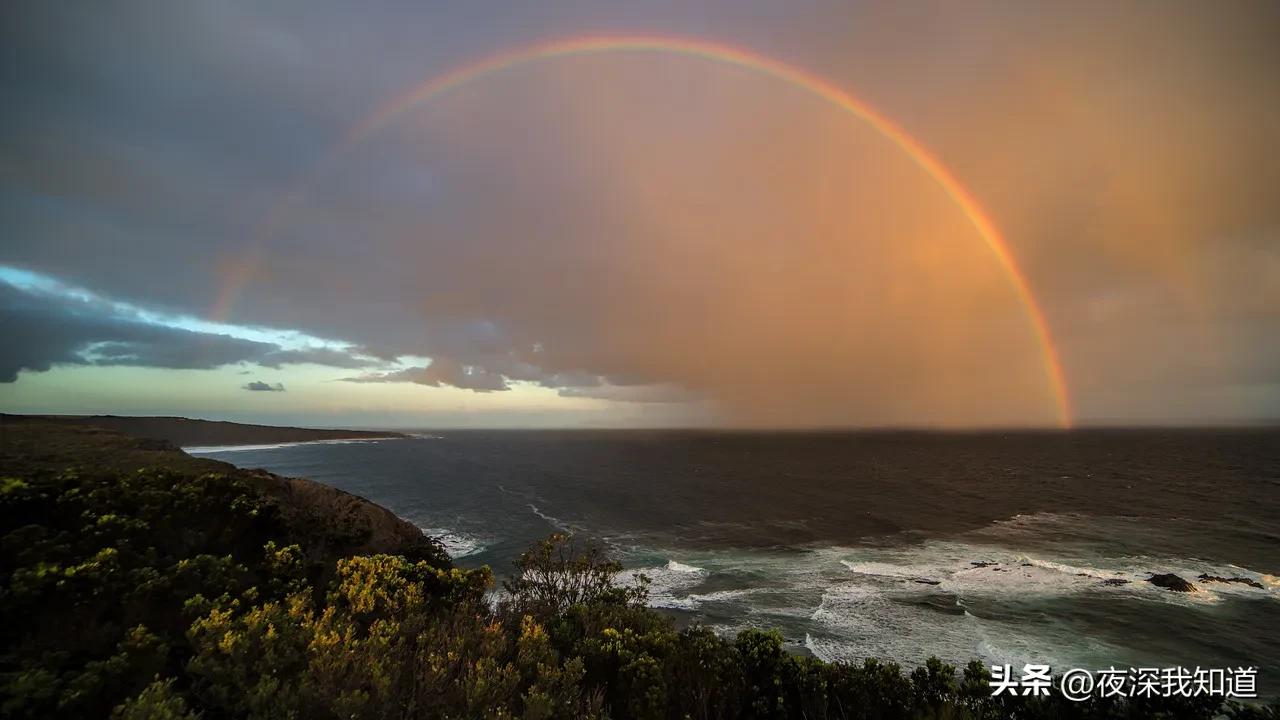 成长记录档案袋,孩子一到六年级成长档案袋