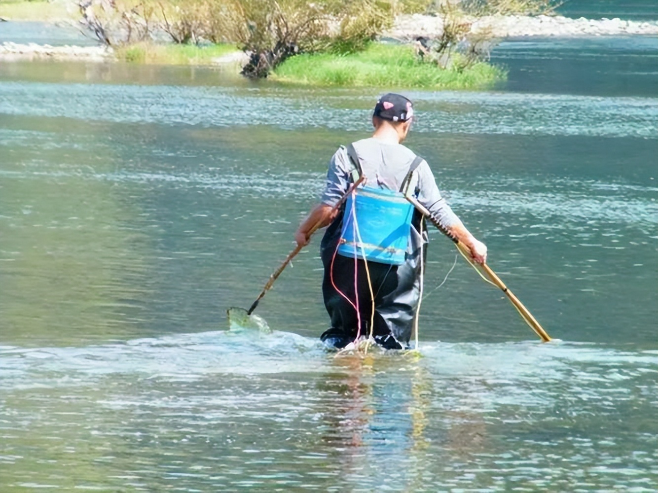 自家鱼塘电鱼被罚网友提问,自家鱼塘电鱼被罚引评论