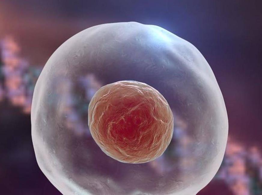 来姨妈前几天还是后几天是安全期,月经前后多少天是安全期啊