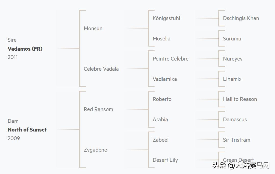 纯血统马驹出售,低价出售马驹子