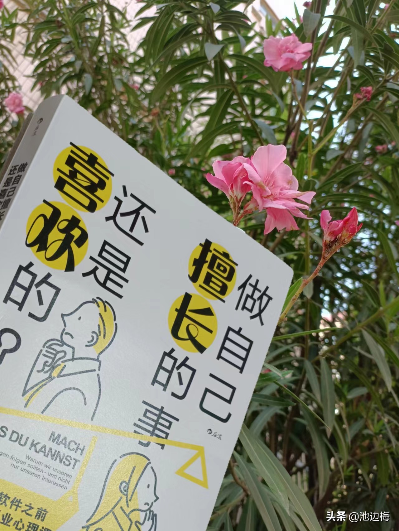 在自己最擅长的领域做最好的自己,在自己擅长的领域做最好的自己