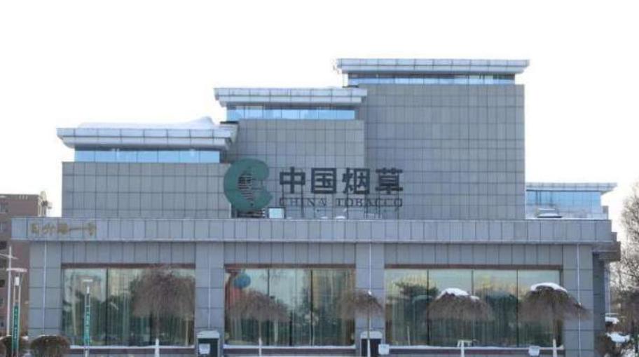 笼罩在烟雾里的巨人，中国*草烟**总公司，一年税费养活中国*队军**