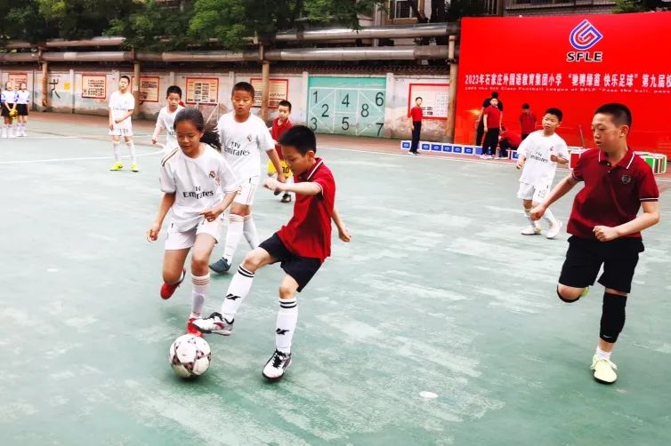 五育并举逐梦巅峰再创辉煌,五育并举缤纷绽放