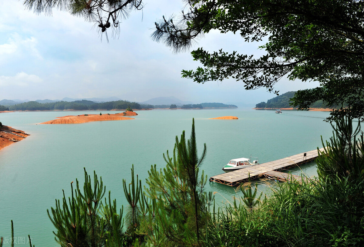 河源房价下跌最惨名单,河源房价下跌最惨一览表