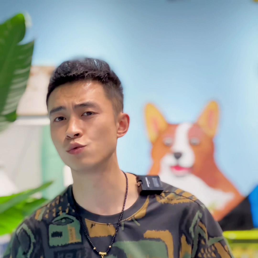 狗市上的小狗千万不要去碰!新手养狗如果连这个都不知道,...