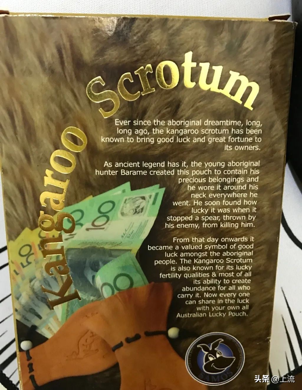 澳洲公袋鼠,澳洲的公袋鼠