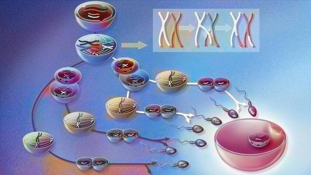 男性下身两侧疼痛是什么原因,男人下身疼痛警惕四种病