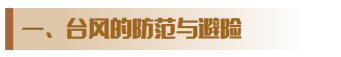 首发安行者|生活中的灾害（二）——风灾