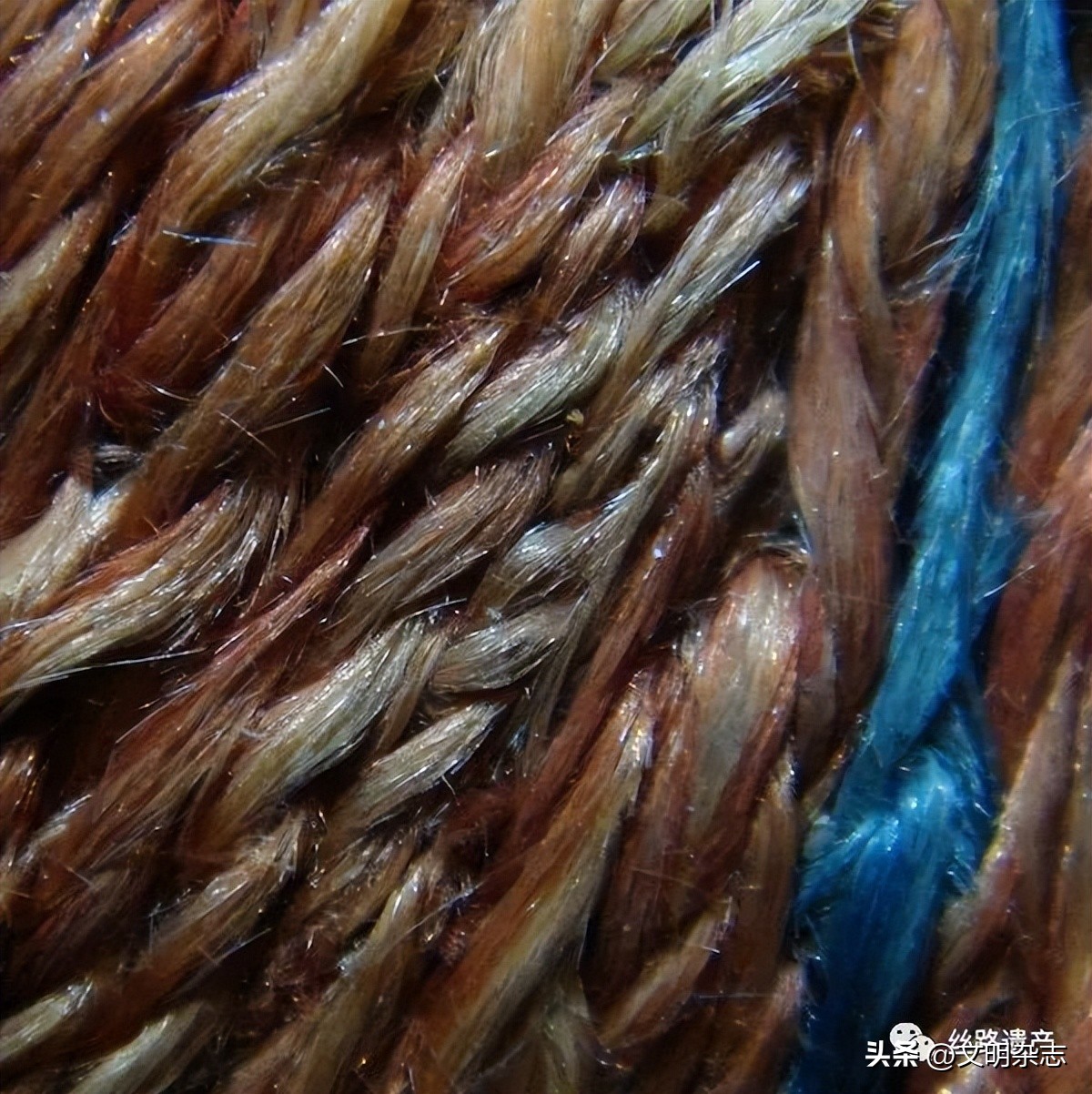 被斯坦因掠走的敦煌佛画,斯坦因敦煌大图