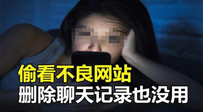 偷看不良网站，删除记录万事大吉？3个问题早已出现，网友:不早说