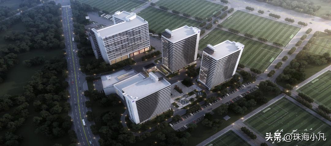 珠海大行动最新消息,珠海最新大事