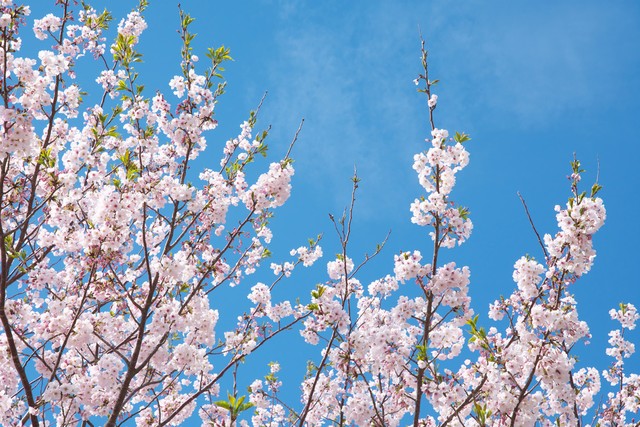 让你身材变得特别好的规律作息,怎么才能让自己的身材变得更好