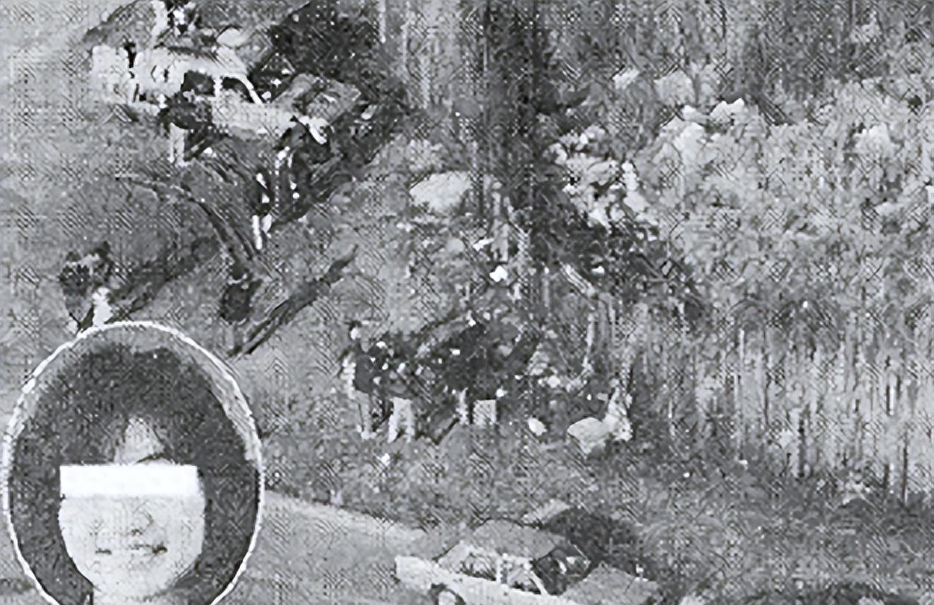 真实事件校花被父母囚禁5年,24岁校花被囚禁5年后续