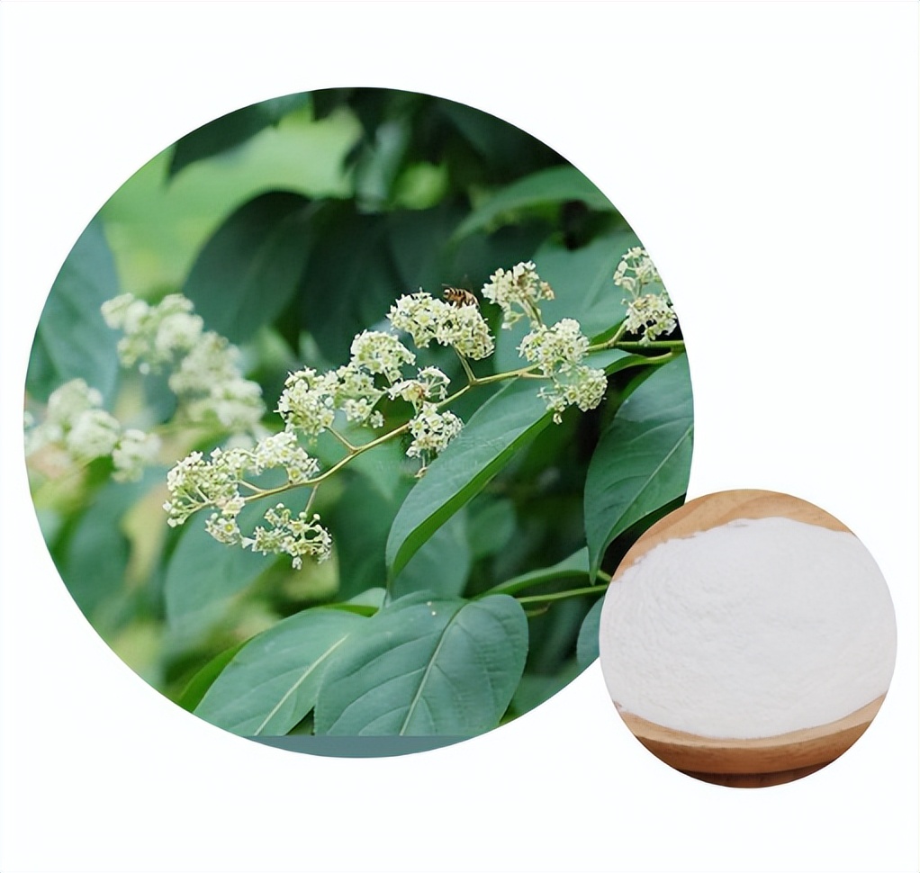 男性避孕药好还是女性避孕药好,男性避孕药安全吗