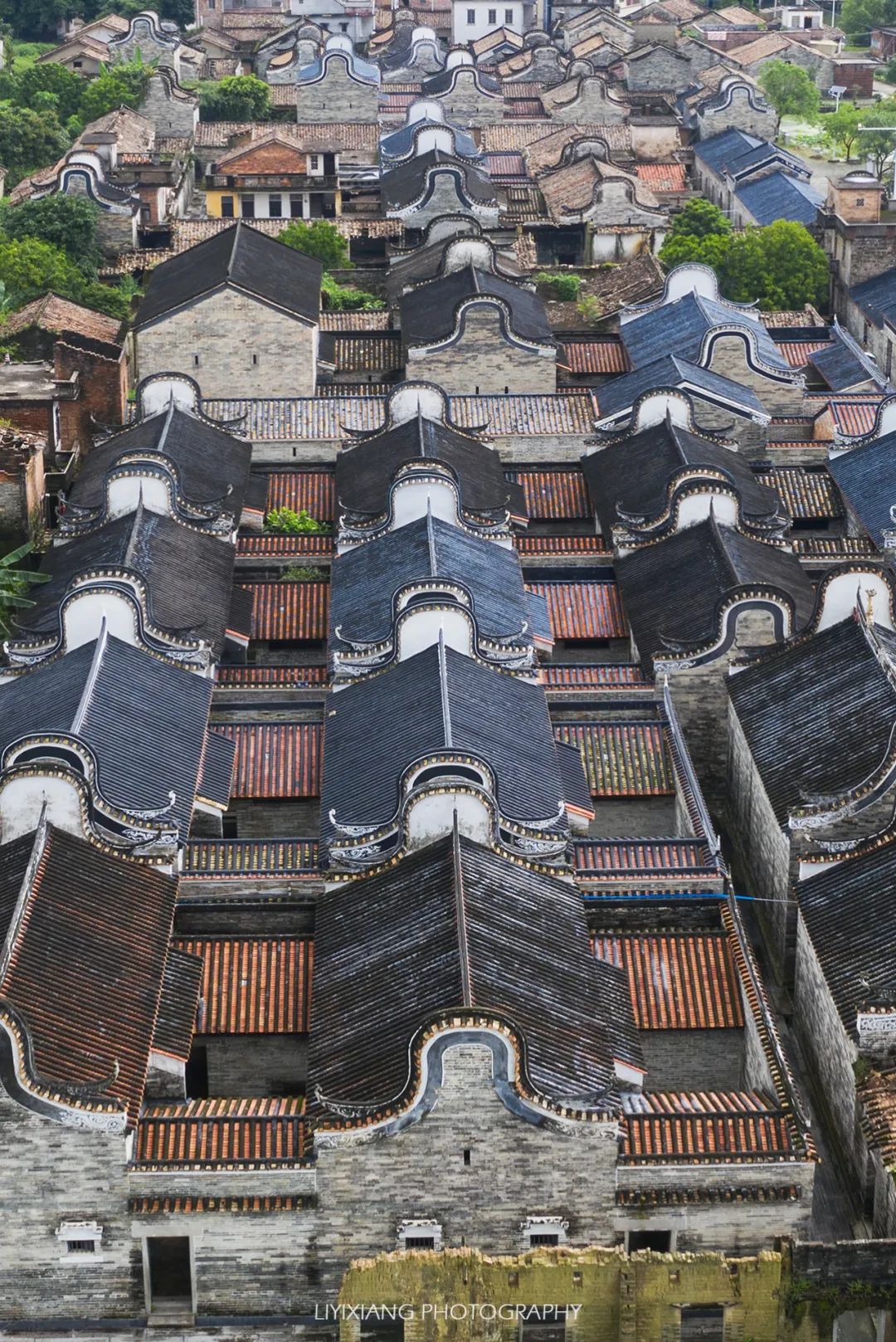 清远鸡什么地方最好,清远鸡冷知识