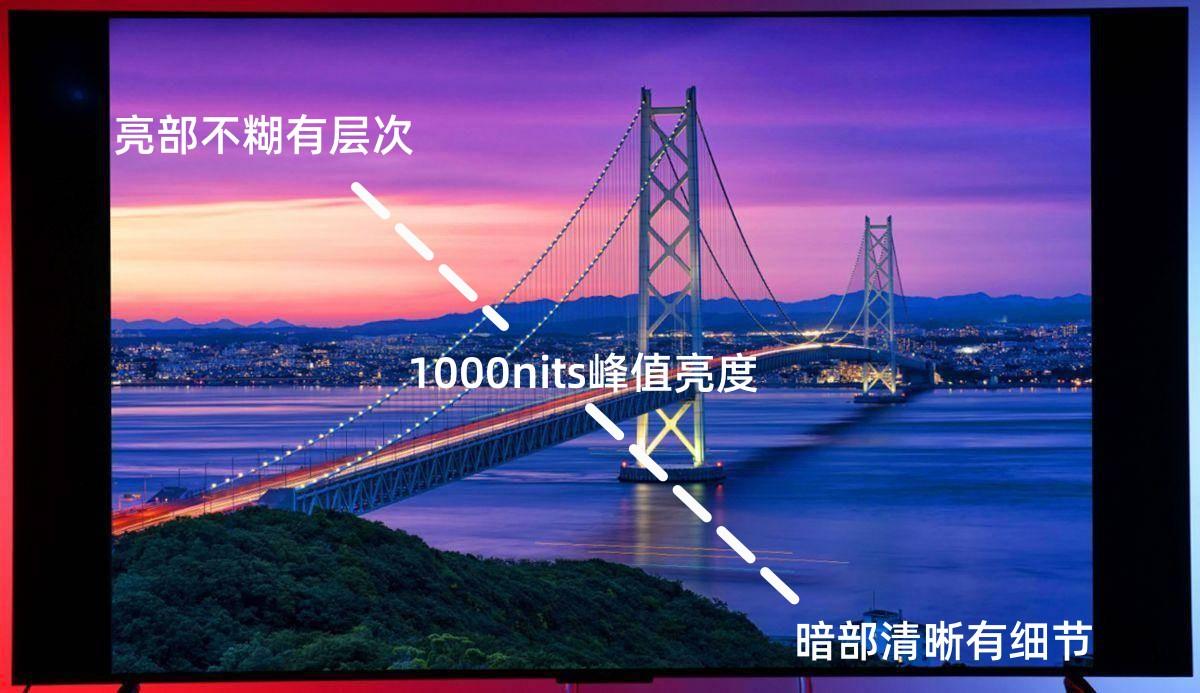 石家庄90后女孩火上央视：生活要做断离舍，家有这4件家具就够了