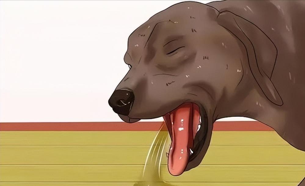 狗狗肚子有虫会传给人吗,狗狗肚子有虫会不会晚上不睡觉