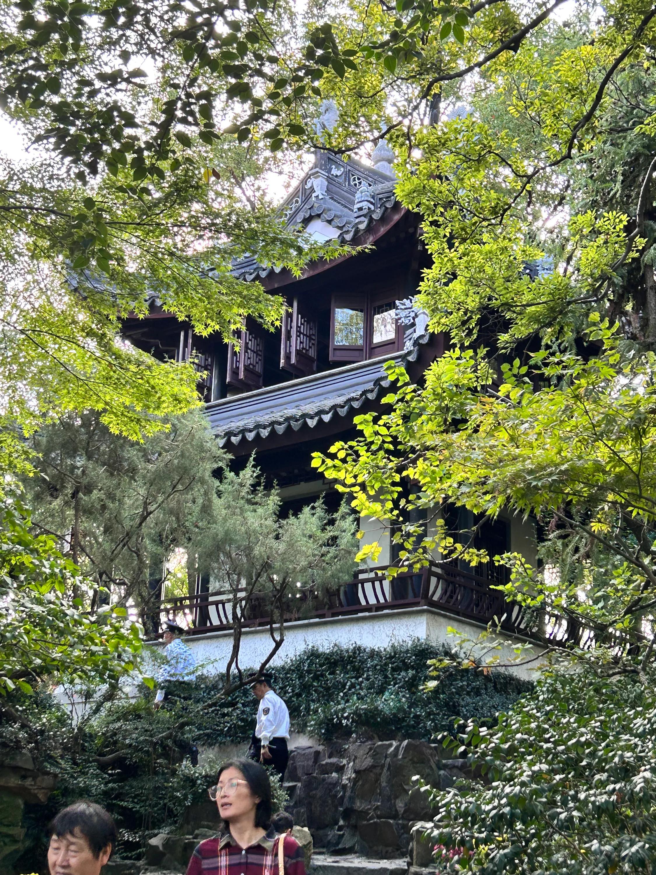 青浦古典园林图片,曲水园上海五大古园林之一