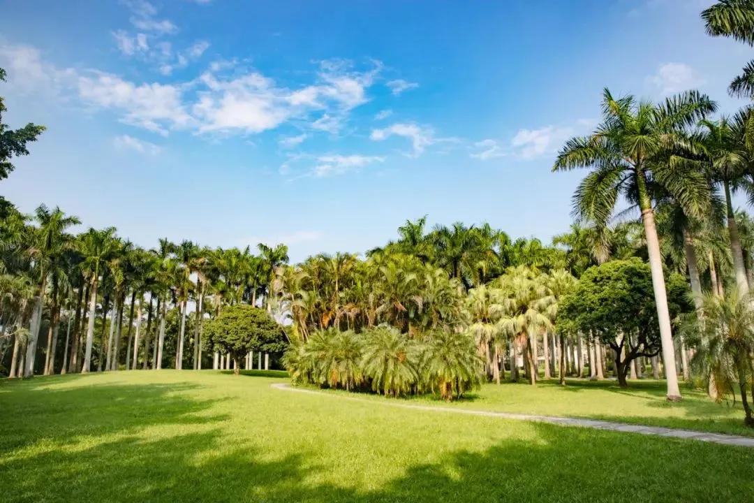 深圳免费儿童好玩的景点排名,深圳景点有哪些好玩的地方免费