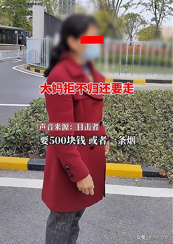 湖北：大妈捡到女孩手机，女孩买两盒烟感谢仍拒还，非要500块钱