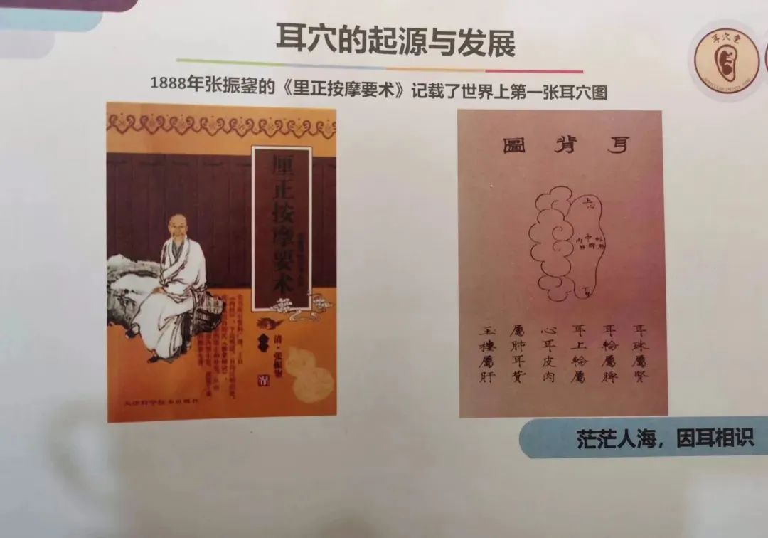 耳朵会说话|阳羡安仁坊耳穴疗法公益培训小记