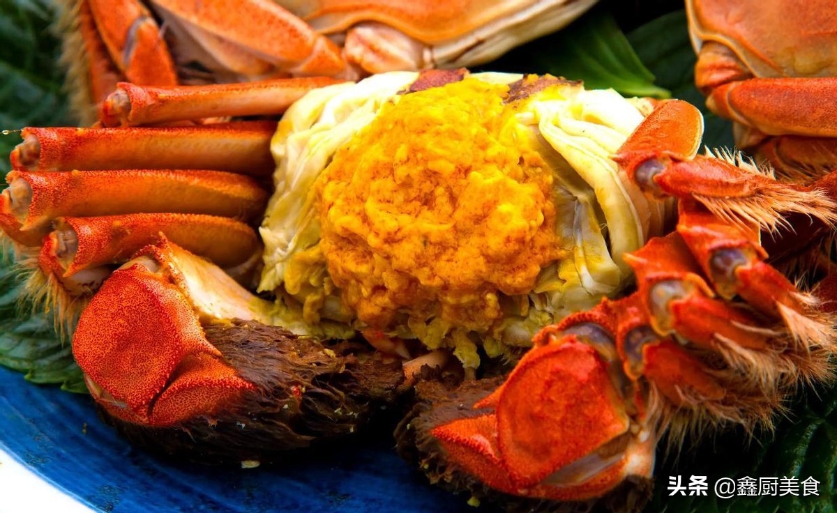 中国的螃蟹哪个地方的最好吃,全国哪个省的螃蟹最便宜