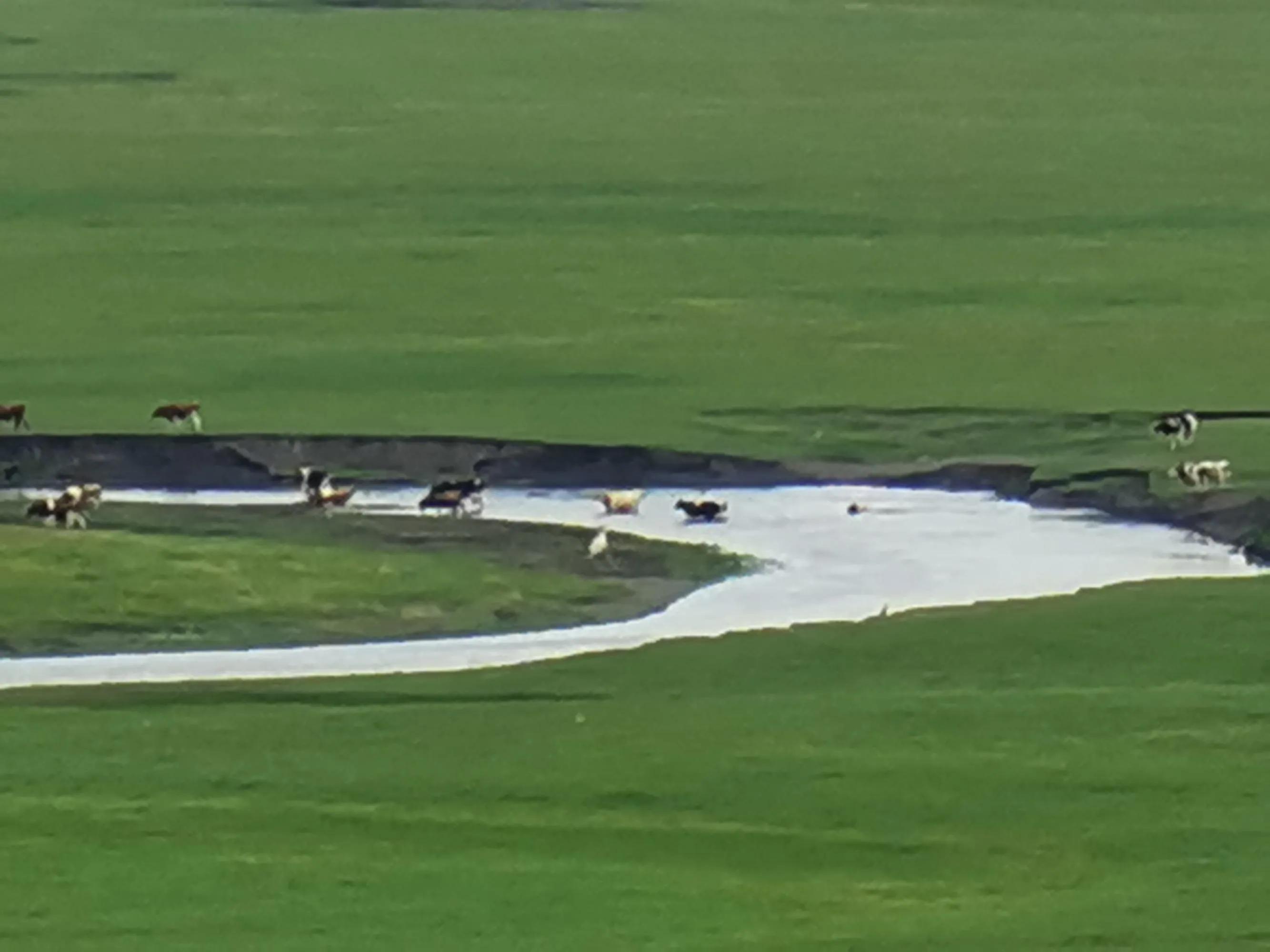 呼伦贝尔六日游自由行攻略 (呼伦贝尔八日游旅游攻略)