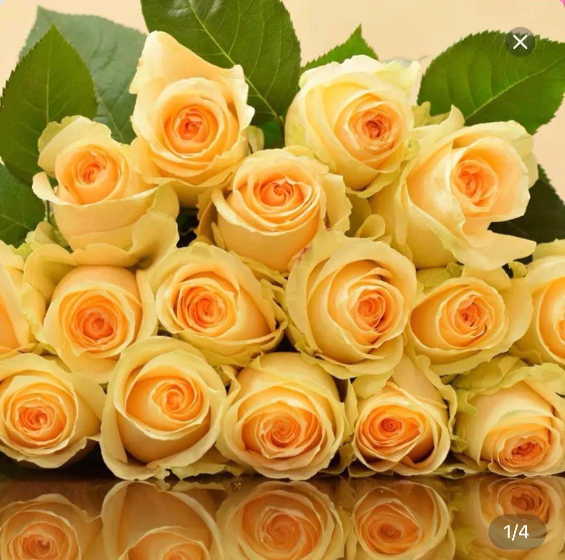 全职儿女是指什么职业,全职儿女新职业