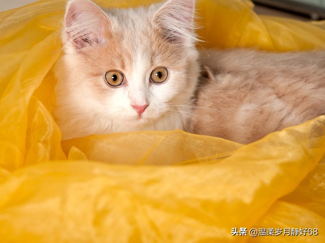 聪明女人如何规划自己,女人自我修炼3句话