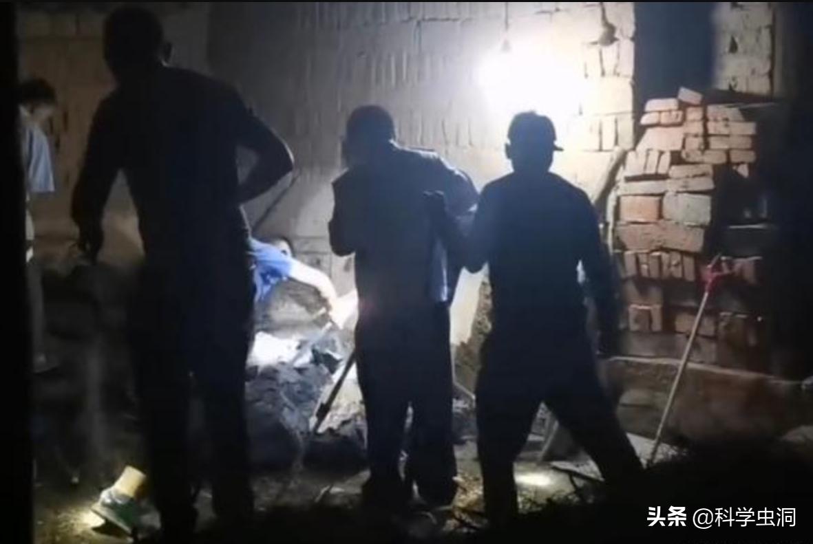 为什么毒蛇杀不死无毒蛇,毒蛇打死只留无毒蛇影响生态吗
