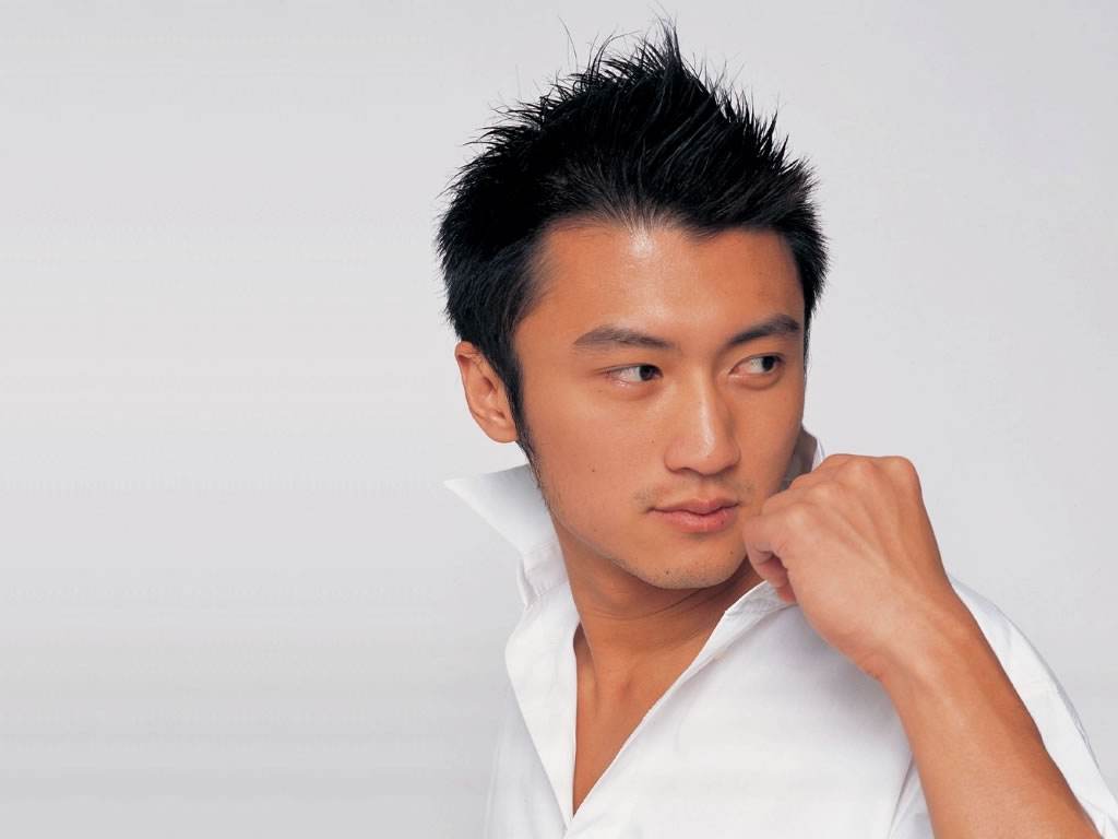 谢霆锋到底是帅还是酷,谢霆锋是真心对王菲吗