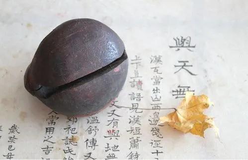 香港尼姑释定智,尼姑释智定照片