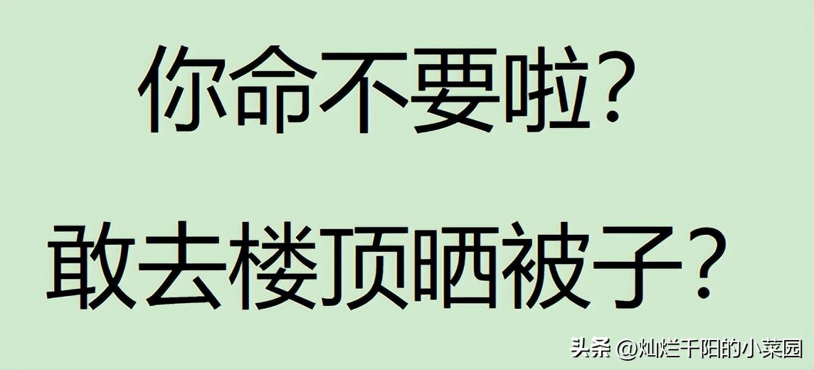一文说清||高层楼顶天台归谁所有？能晒被子吗？能养狗吗？