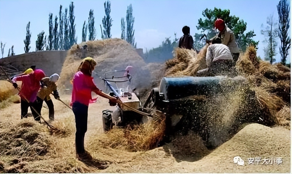 三十年前麦收场景历历在目,早年麦收季节