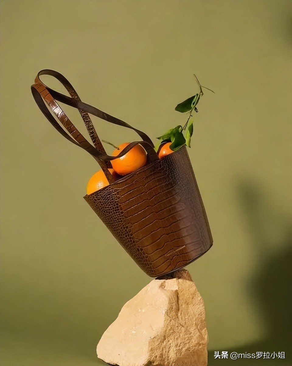 袁咏仪买名牌包包,袁咏仪同款小包