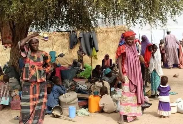 尼日利亚婴儿工厂被曝光,尼日利亚婴儿工厂被捣毁